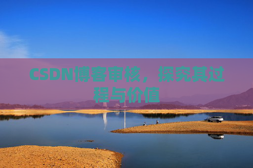 CSDN博客审核,探究其过程与价值